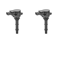 B221239261