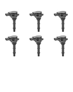 B221239291